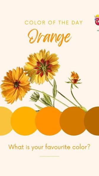 ORANGE DAY CELEBRATIONS BY PRE-PRIMARY